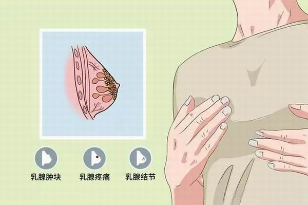 調整大小 640 (1).jpg